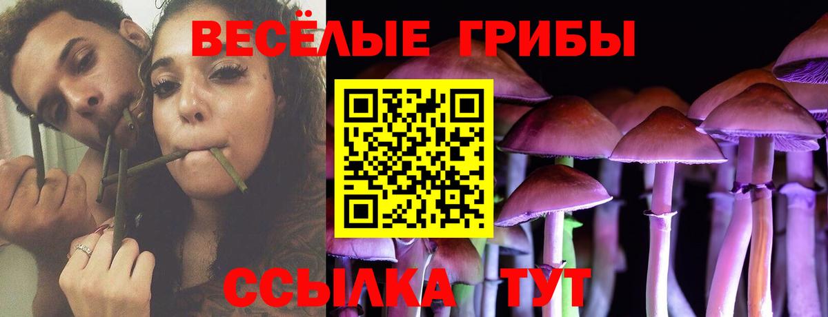 Галлюциногенные грибы прущие грибы  Псилоцибиновые грибы Psilocybe  Вход с VPN  Миасс 